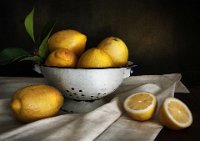 285 - STILL LIFE WITH LEMONS  4 - PRINCE HEATHER - australia <div